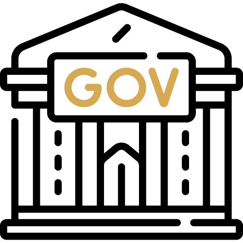 Icon for Government Law